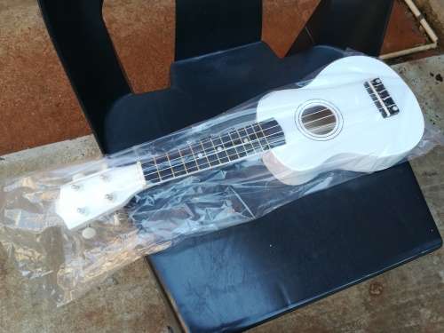 Brand New - Professional Acoustic Soprano Ukulele