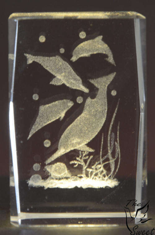 3D Engraved glass Dolphins
