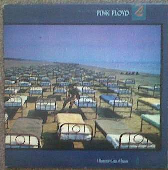 Pink Floyd-A Momentary Lapse of Reason (Lp Vinyl)