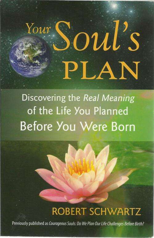 Your Soul's Plan-Robert Schwartz (Soft cover)
