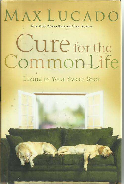 Max Lucado-Cure for the common life (Hard cover)