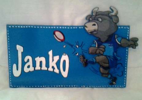 blue bulls door name plate