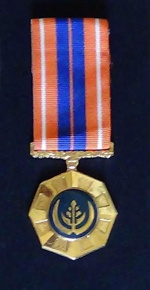SADF FULL SIZE Pro Patria Medal  - number 220102