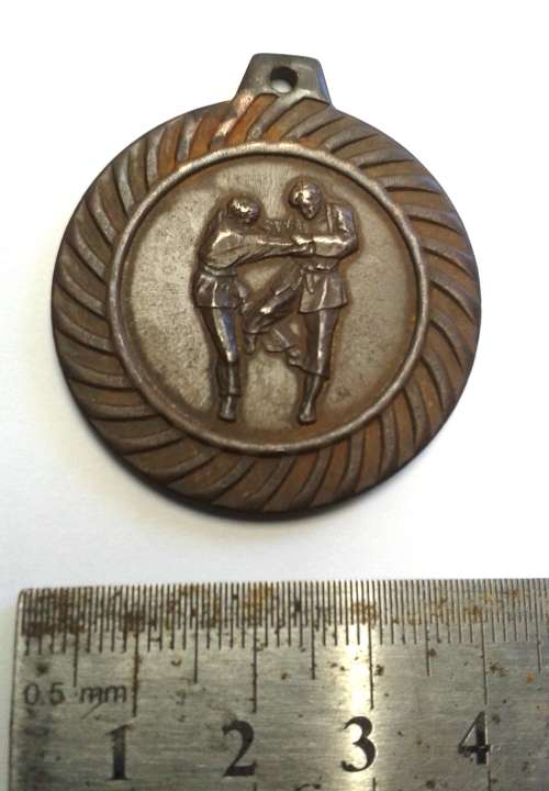 Karate / judo medal - bronze