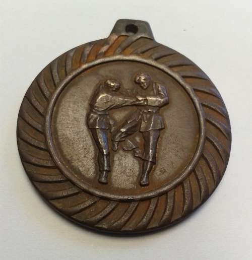Karate / judo medal - bronze