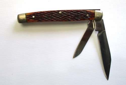 Small vintage bone-handle pocket knife - probably Japanese made