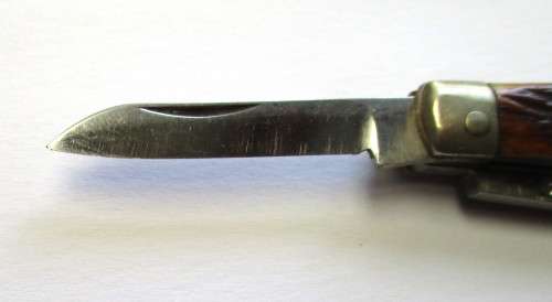 Small vintage bone-handle pocket knife - probably Japanese made