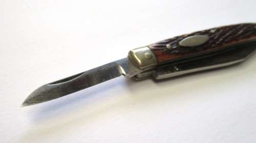 Small vintage bone-handle pocket knife - probably Japanese made