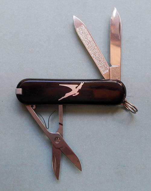 A small Victorinox Pocket knife, Black with SAA Logo.