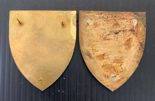 SADF 1 Parachute battalion flashes