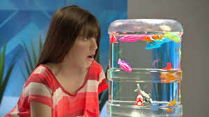 ROBO FISH swims in water ***great too fill Christmas stockings***