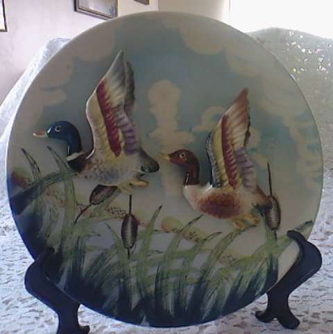 SOMETHING DIFFERENT FOR THE COLLECTOR OF FLYING DUCKS!