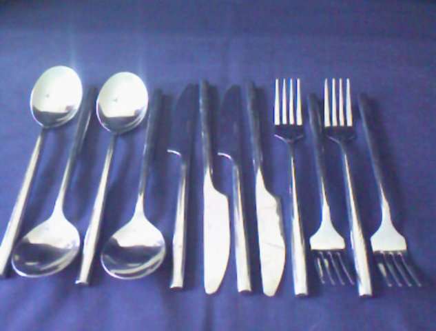 12 PIECES OF ELEGANT STAINLESS STEEL CUTLERY