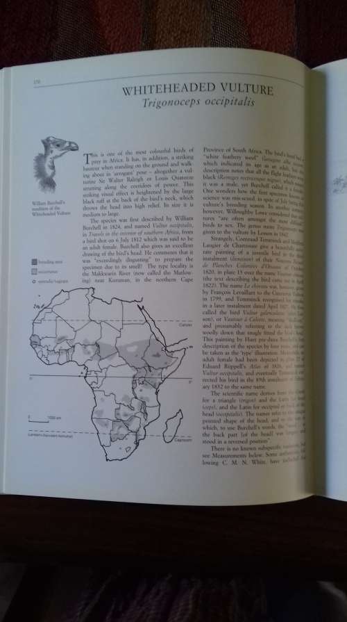 The Vultures of Africa