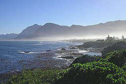 Hermanus Style and Whale Adventure