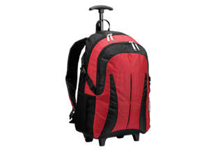 TANZANITE LAPTOP BACKPACK - Red