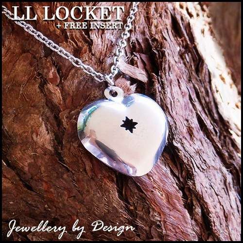 Stainless Steel Heart Locket & 550mm Chain, closes magnetically