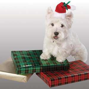 5 x SETS (NECKLACE, EARINGS & BRACELETS)