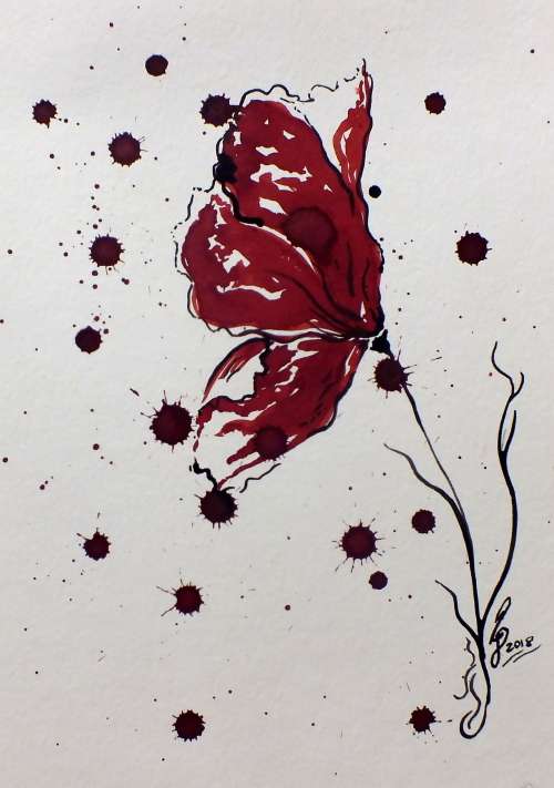 Red Splatter Poppy Beauty