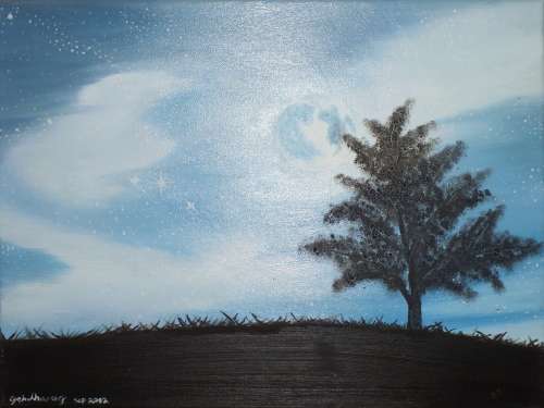 Winter Wonderland , By: Cecilia Pekelharing Ready to hand on boxed canvas