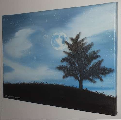 Winter Wonderland , By: Cecilia Pekelharing Ready to hand on boxed canvas