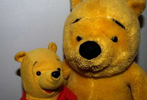 Two Winnie The Pooh's
