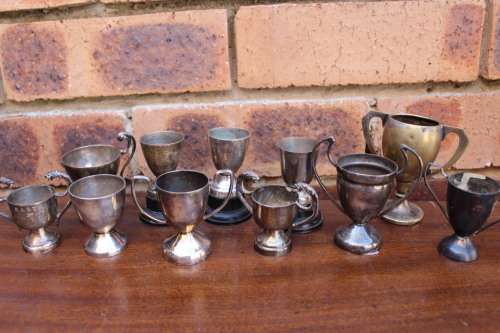 Collection of Tiny Trophies (11 in the set)