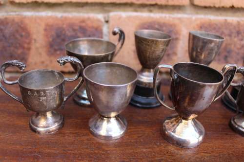 Collection of Tiny Trophies (11 in the set)