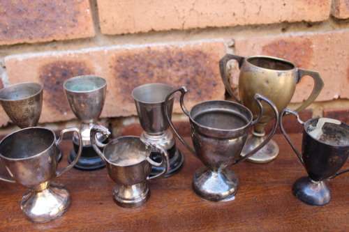 Collection of Tiny Trophies (11 in the set)