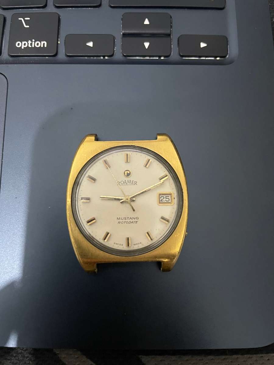 Roamer Mustang (Please read)