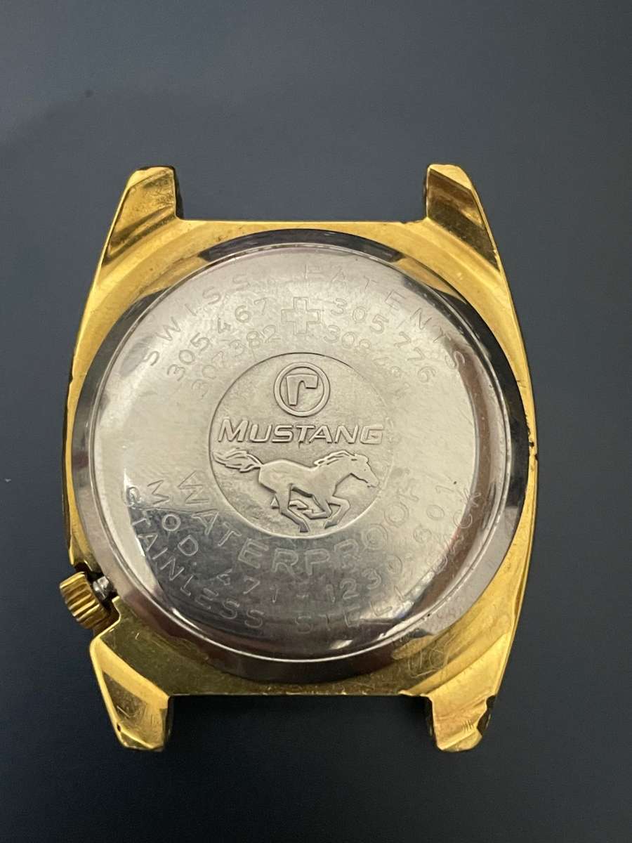 Roamer Mustang (Please read)