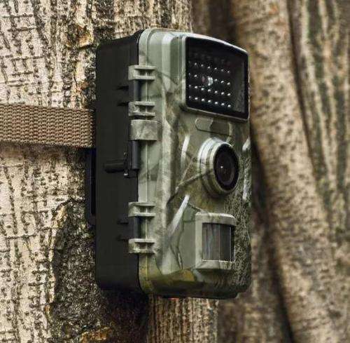 1080P Wildlife Hunting Trail Game Camera -  Motion Activated Security Camera  -IP66 Scouting Camera