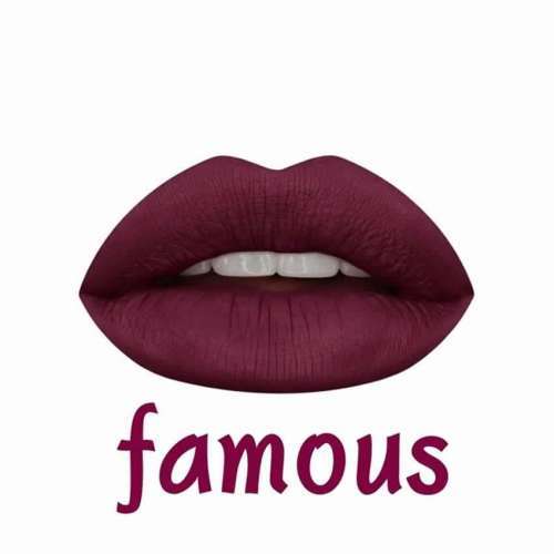 *NEW* HUDA CONTOUR KIT Lip Liner+2matte mini liquid Lipstick- VIXEN & FAMOUS