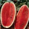 SWEET WATERMELON SEEDS( 10 in pack)