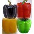 MIXED PACK OF RED, YELLOW AND GREEN PEPPER SEEDS