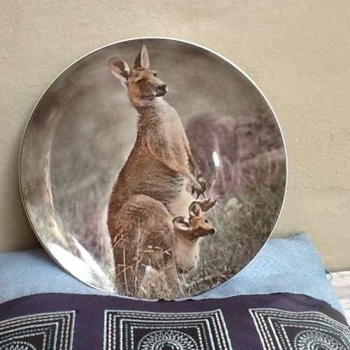 A Royal Daulton Vintage Kangaroo with Joey Display Plate. D 6423.