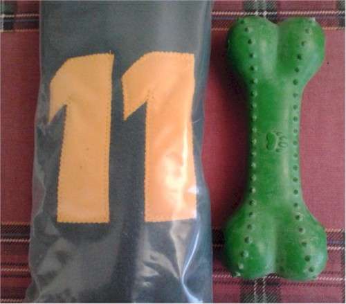 Springbok no 11 jersey for big dogs