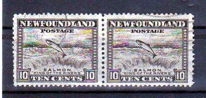 NEWFOUNDLAND-10c VERY FINE USED PAIR !!