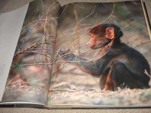 NO BETTER WORD THAN " STUNNING " A MUST HAVE COFFEE TABLE BOOK