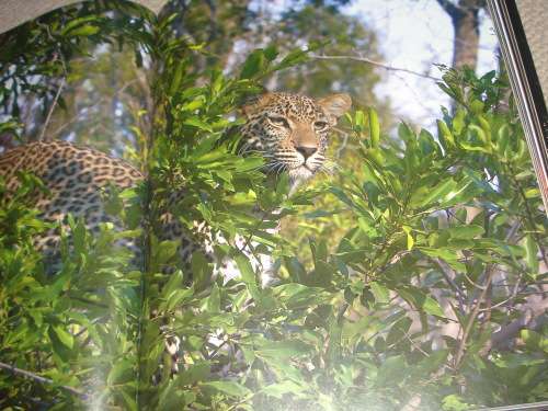 NO BETTER WORD THAN " STUNNING " A MUST HAVE COFFEE TABLE BOOK