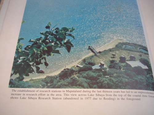 SCARCE BOOK ! " STUDIES ON THE ECOLOGY OF MAPUTALAND " SIGNED TWICE !!!