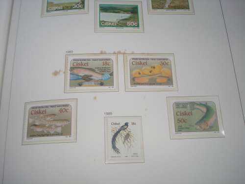 STUNNING COMPLETE BOP AND CISKEI COLLECTIONS ALL UNMOUNTED MINT WITH M/SHEETS !!!