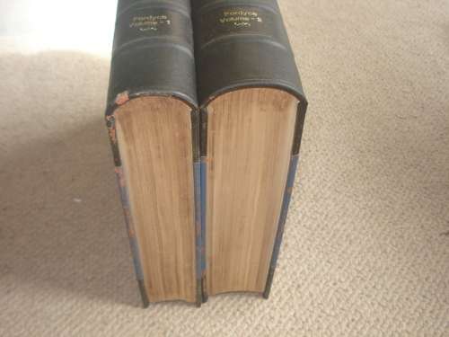 EXTREMELY RARE 1857 BOTH VOLUMES " HISTORY OF THE COUNTY OF DURHAM "