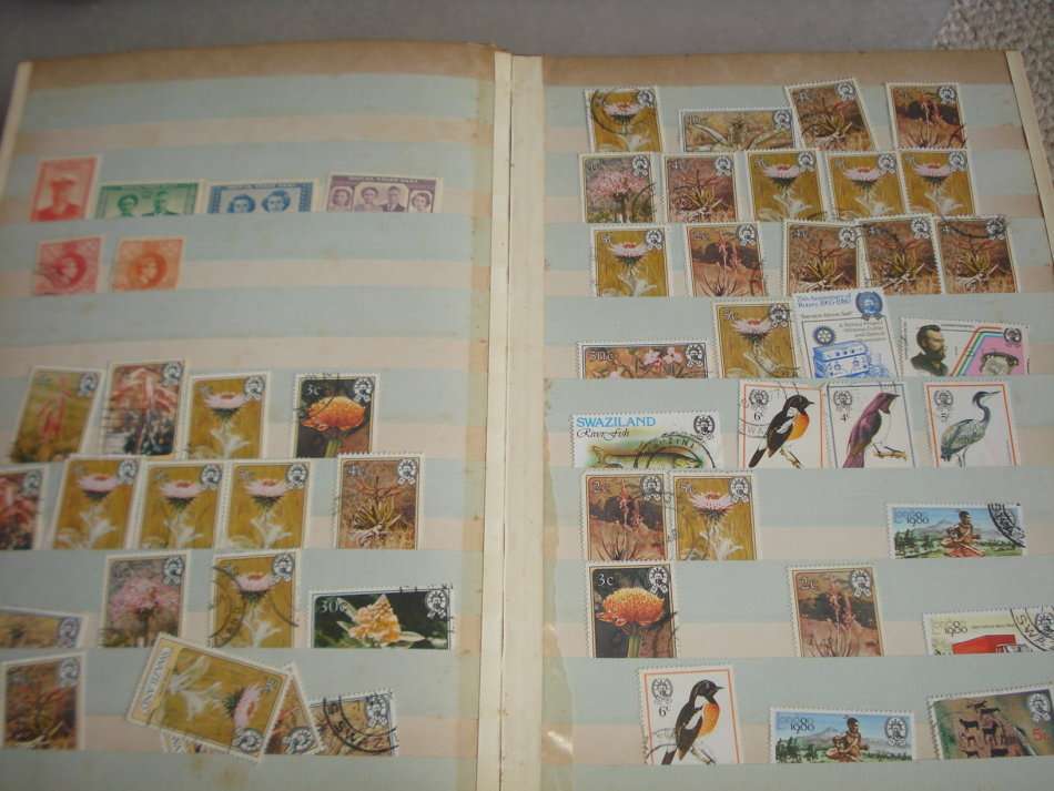 SWAZILAND-COLLECTION IN STOCK BOOK-NICE LOT OF MAINLY MID PERIOD-CANCELS ++