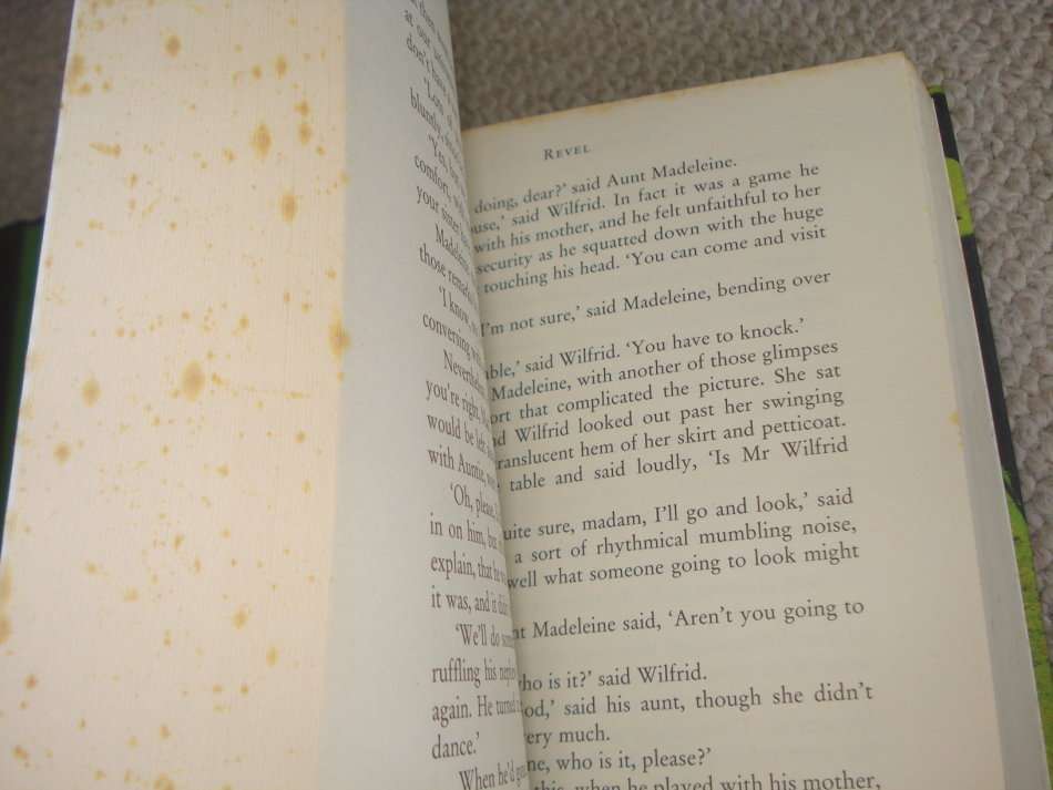 " THE STRANGER`S CHILD " HARD COVER    SIGNED BY THE AUTHOR-WINNER OF MAN BOOKER PRIZE