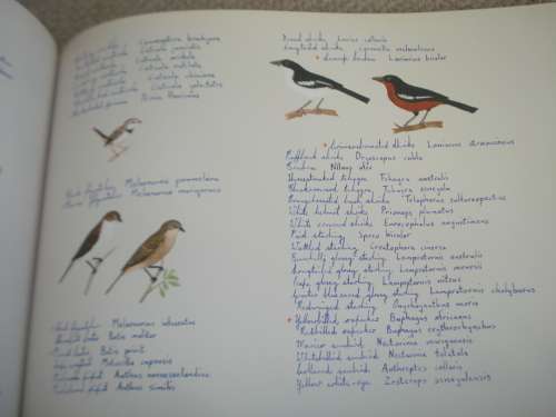 LOVELY COFFEE TABLE BOOK !! " FREE BOUNDS " SIGNED BY IAIN GUTHRIE