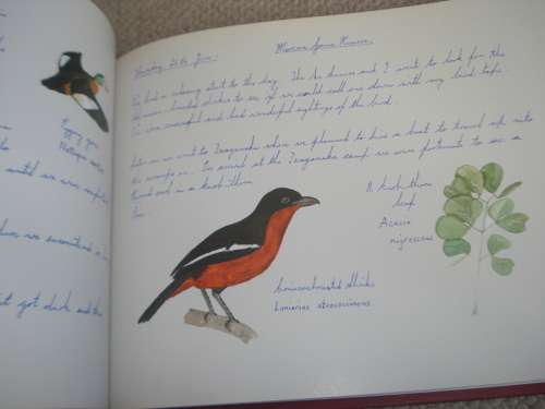 LOVELY COFFEE TABLE BOOK !! " FREE BOUNDS " SIGNED BY IAIN GUTHRIE