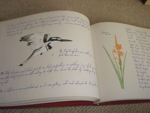 LOVELY COFFEE TABLE BOOK !! " FREE BOUNDS " SIGNED BY IAIN GUTHRIE