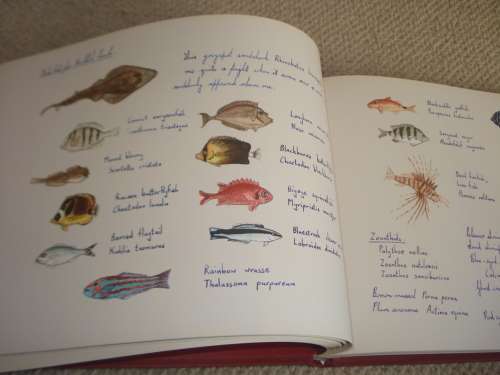 LOVELY COFFEE TABLE BOOK !! " FREE BOUNDS " SIGNED BY IAIN GUTHRIE