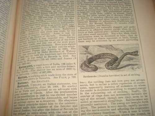 1898-RARE VOLUME VIII  " CHAMBERS`S ENCYCLOPAEDIA   "  P-R 828 PAGES-I HAVE  OTHER VOLUMES !!!